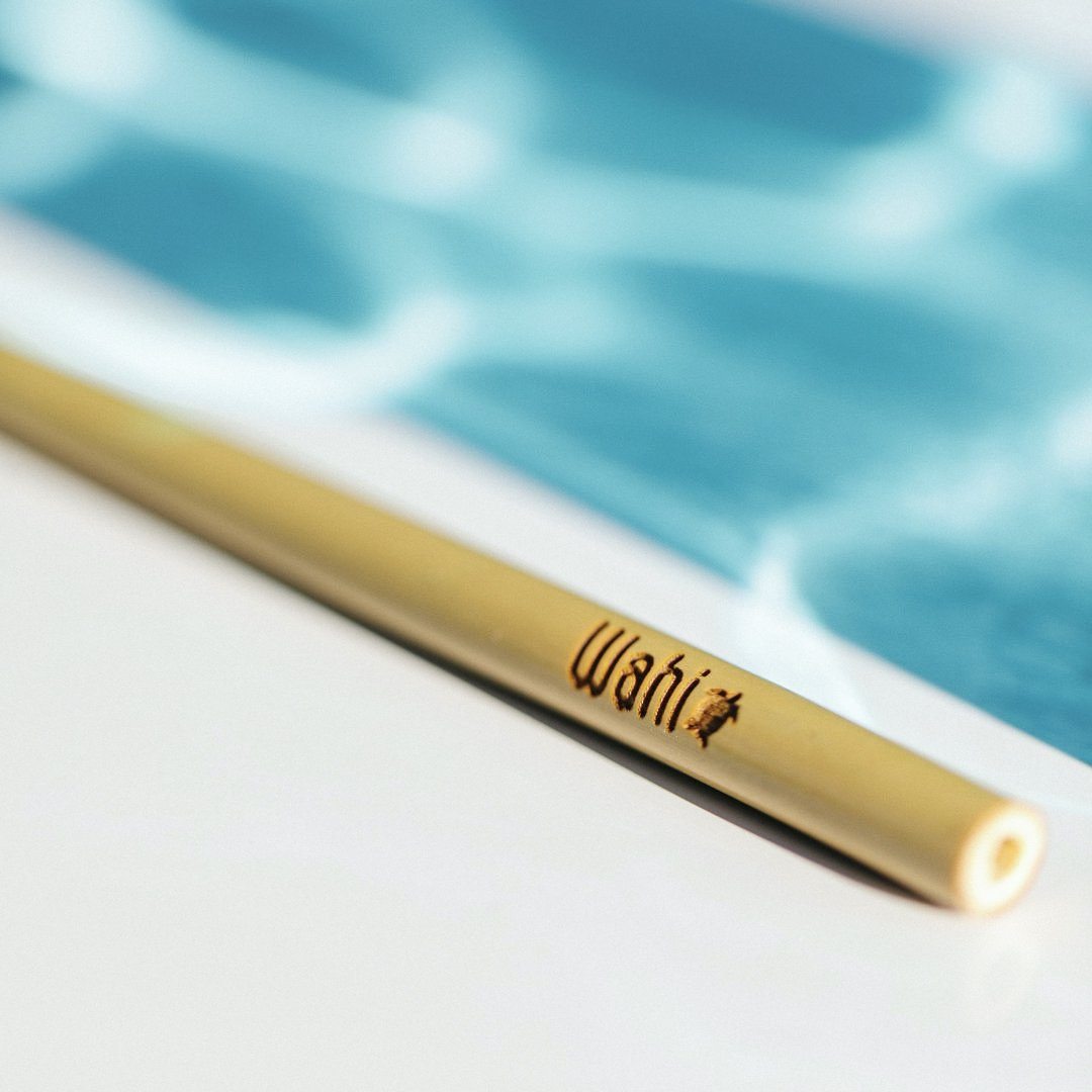 Bamboo Straw Traveler, 6pc Bamboo Straw Wahi Hawaii | Maui, HI 
